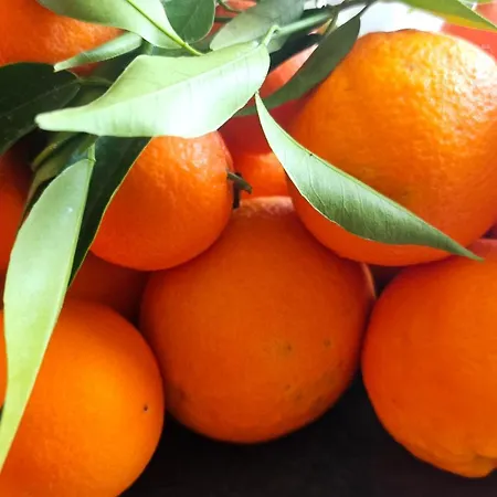 Peloponnese Hideout - White House With The Sea View Villa Akrata