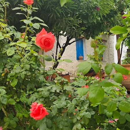 别墅 Peloponnese Hideout - White House With The Sea View 阿克拉塔