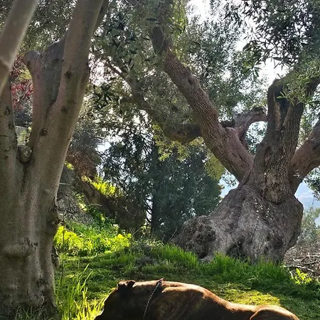 Peloponnese Hideout - White House With The Sea View * Akrata