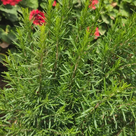 Villa Peloponnese Hideout - White House With The Sea View Akrata