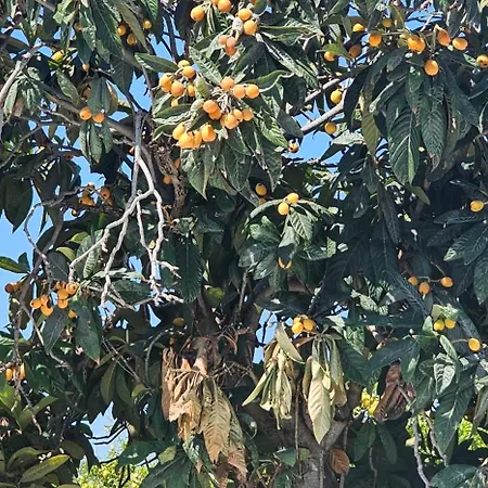 Peloponnese Hideout - White House With The Sea View Villa *