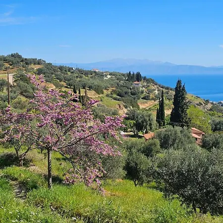 别墅 Peloponnese Hideout - White House With The Sea View 阿克拉塔