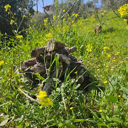 Peloponnese Hideout - White House With The Sea View