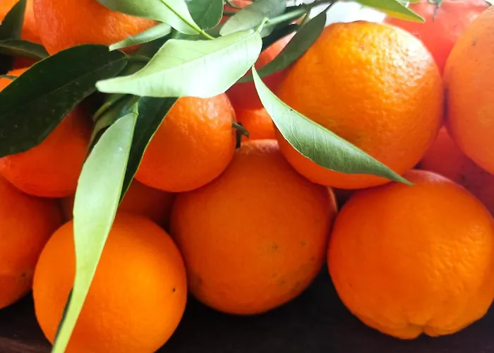 Peloponnese Hideout - White House With The Sea View Vila Akrata