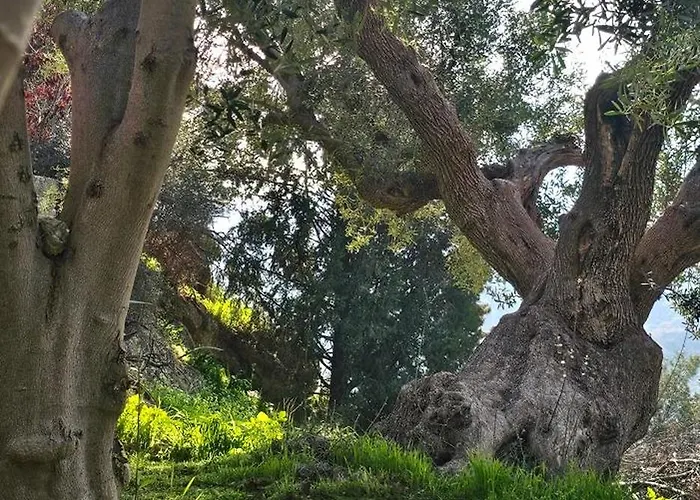 Peloponnese Hideout - White House With The Sea View * Akráta