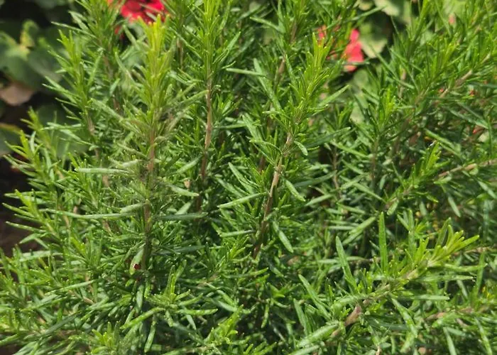 Villa Peloponnese Hideout - White House With The Sea View Akrata