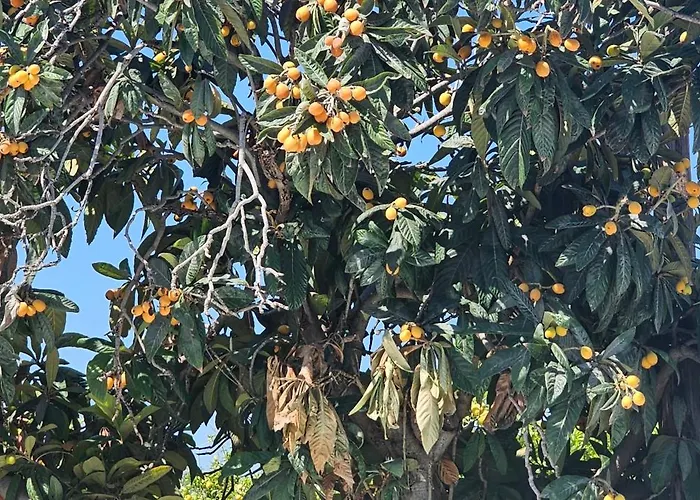 Peloponnese Hideout - White House With The Sea View Вилла *