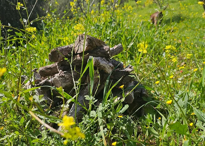 Peloponnese Hideout - White House With The Sea View
